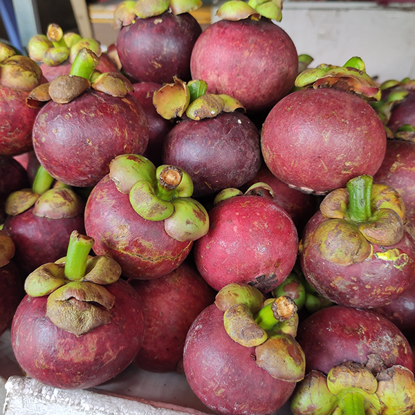Măng cụt